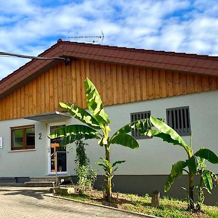 Pension Am Hohberghof Dielheim Luaran gambar