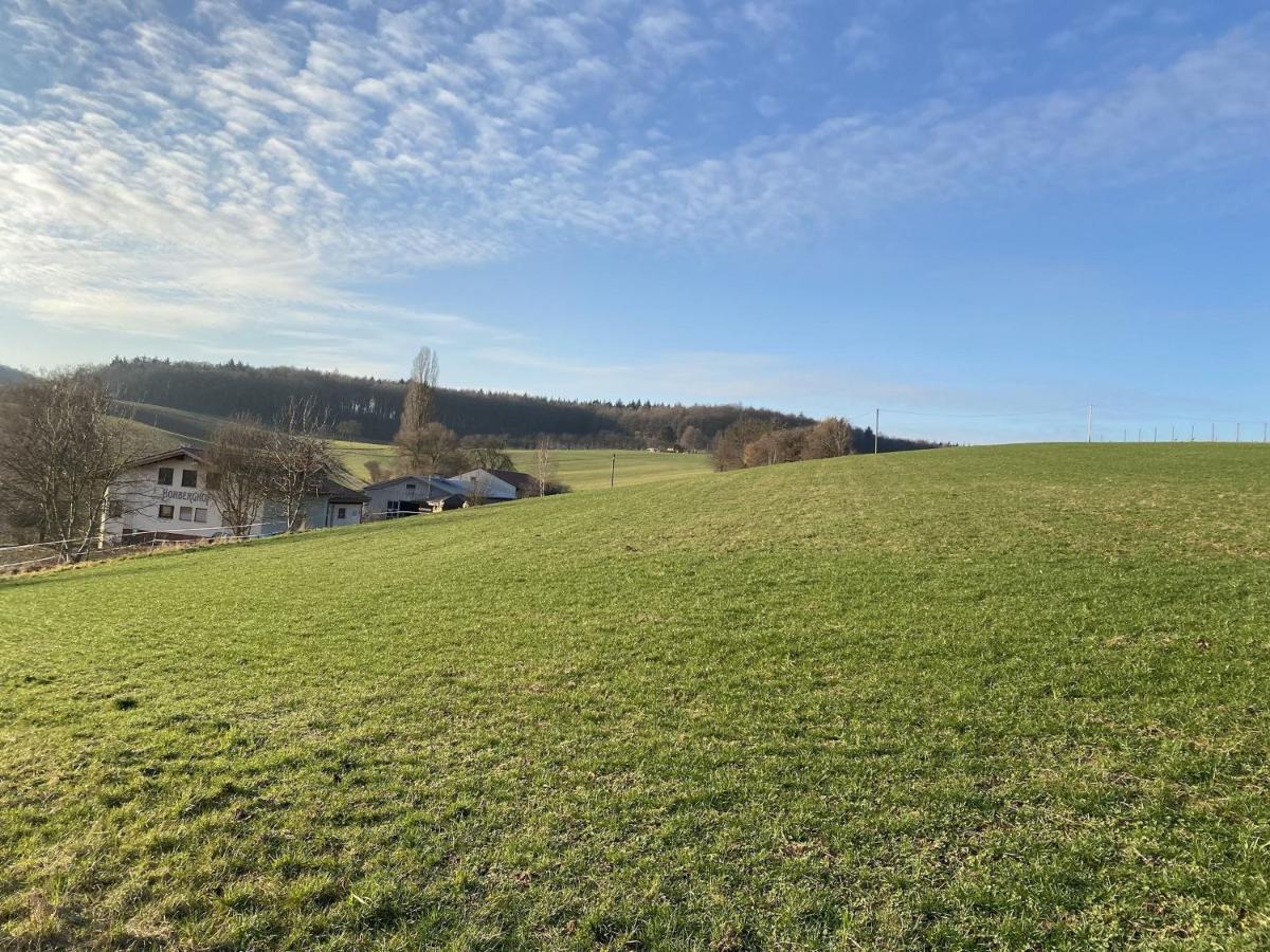 Pension Am Hohberghof Dielheim Luaran gambar